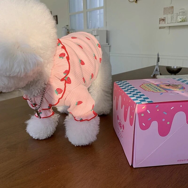 25irAutumn-Pet-Strawberry-Bottoming-Shirt-Teddy-Thermal-Vest-Poodle-Fruit-Clothes-Puppy-Soft-Two-Leg-Clothes.jpg