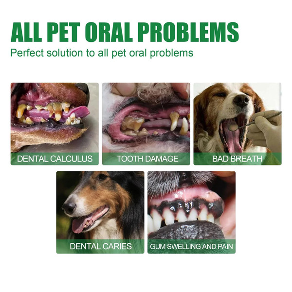 cbojPet-Teeth-Cleaning-Spray-Dog-Tartars-Remover-Cat-Oral-Cleaner-Breath-Freshener-Puppy-Kitten-Teeth-Deodorant.jpg