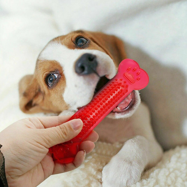 uiN1Hot-Sale-Pet-Dog-Chew-Toys-Rubber-Bone-Toy-Aggressive-Chewers-Dog-Toothbrush-Doggy-Puppy-Dental.jpg