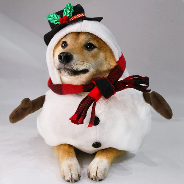 nZPiChristmas-Snowman-Pet-Cosplay-Costume-Pet-Dog-New-Year-Holiday-Party-Dress-Up-Cute-And-Comfortable.jpg