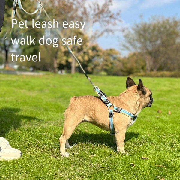DHH22m-long-Dog-Leash-Pet-Lead-Non-Slip-Rubber-Nylon-Training-Walking-Rope-work-Dog-Leashes.jpeg