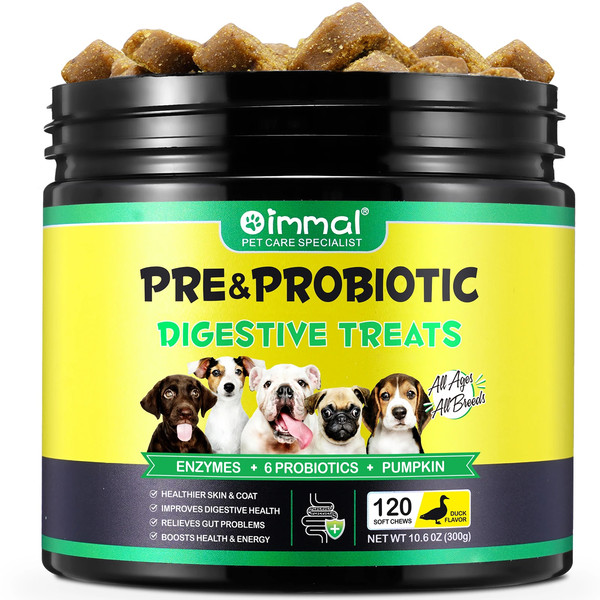 zrBGProbiotics-for-Dogs-Support-Gut-Health-Itchy-Skin-Allergies-Yeast-Balance-Immunity-Digestive-Enzymes-Pre-Probiotic.jpg