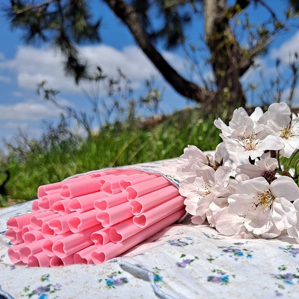 RBR810pcs-Creative-Heart-Pink-Disposable-Straw-Bride-Straws-Tribe-Supplies-Hen-Parti-Bride-To-Be-Bachelor.jpg