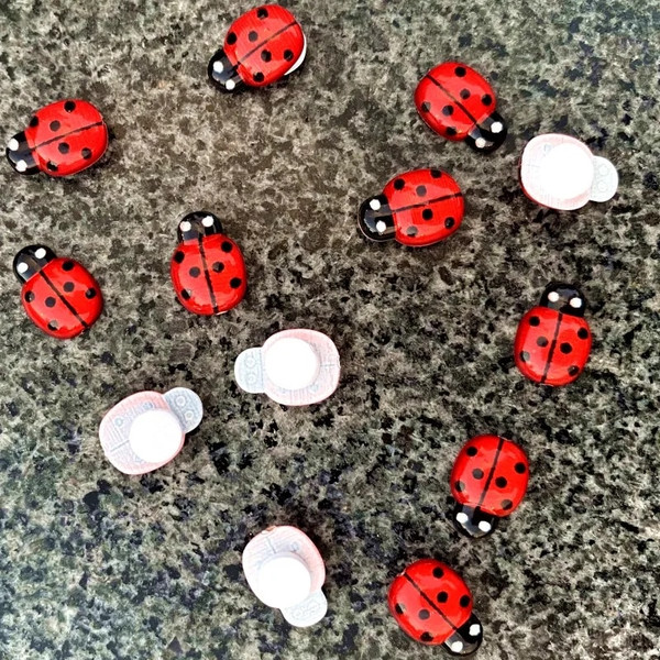 8qRWRed-Acrylic-Ladybug-Self-Adhesive-Stickers-Home-Wedding-Party-Decor-Handicrafts-Halloween-Gifts-DIY-Potted-Plants.jpg