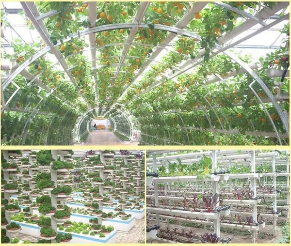 8rI550Pcs-Plant-Grow-Net-Nursery-Pots-Cup-Hydroponic-colonization-Mesh-plastic-Basket-holder-vegetable-Planter-Soilless.jpg