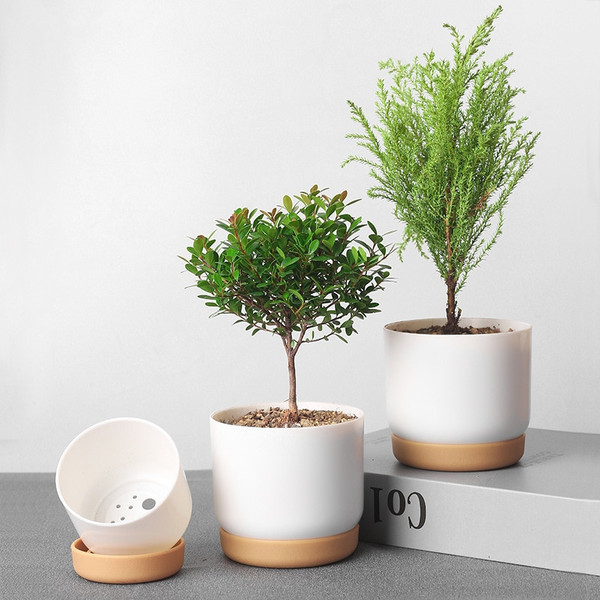 pCjXSucculent-Plant-Pot-Double-Layer-Green-Dill-Small-Green-Plant-Flower-Pot-Garden-Planter-Flower-Pot.jpg