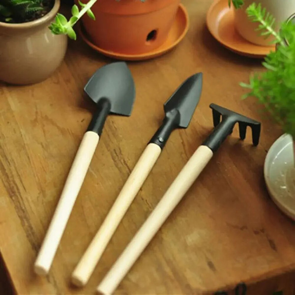 oqaLPlant-Flower-Shovel-Household-Succulent-Planting-Gardening-Loose-Soil-Tool-Mini-Stainless-Steel-Three-Piece-Set.jpg