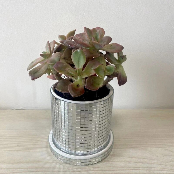 BsO6New-Glass-Square-Flower-Planter-Pots-Mirror-Flower-Basket-Flower-Pot-For-Indoor-Plants-Vase-Container.jpg
