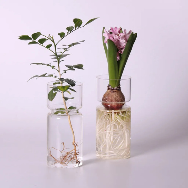 v5QwClear-Glass-Hyacinth-Vase-Transparent-Flower-Plant-Bottle-Pot-DIY-Ornaments-Home-Living-Room-Garden-Decoration.jpg
