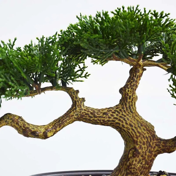 zYqvSimulation-Plants-Pine-Needles-Bonsai-Artificial-Decoration-Rollo-De-Vaya-De-Hojas-Artificiales-Home-Decor-Accessories.jpg