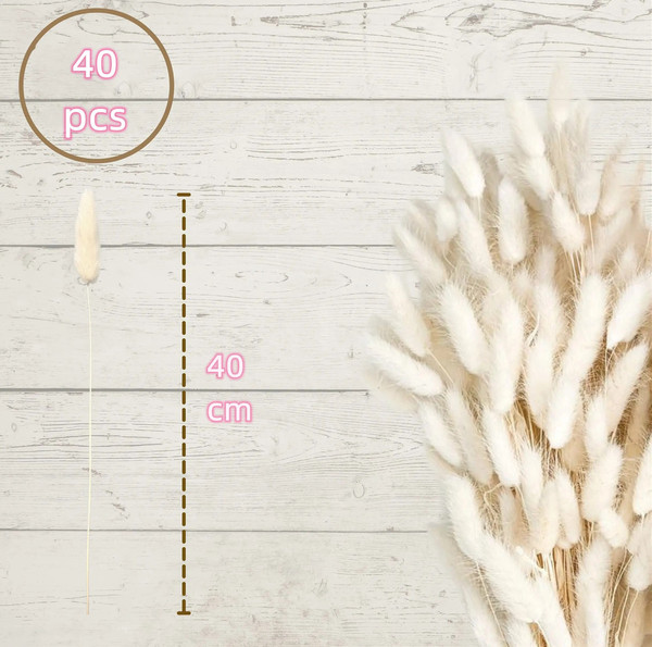 3sEhFluffy-Dry-Pampas-Natural-Flower-Decoration-Dry-Bunny-Rabbit-Tail-Grass-for-Boho-Wedding-Floral-Arrangements.jpg