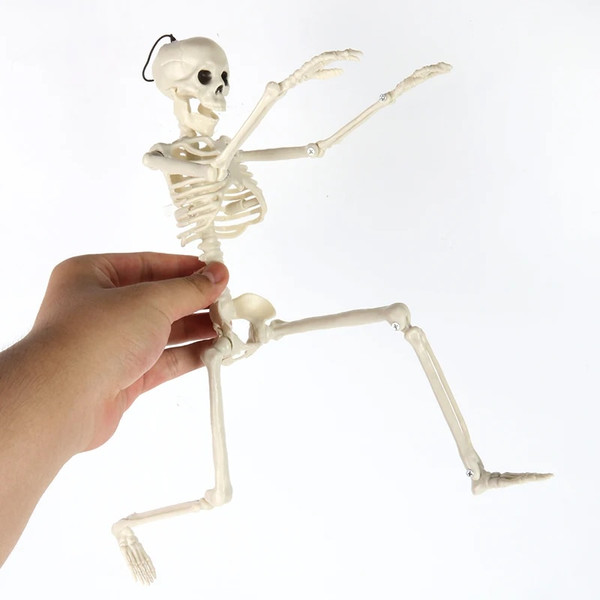 1XF4Skeleton-Halloween-Decorations-40cm-Posable-Funny-Lifelike-Plastic-Skeletons-for-Haunted-House-Graveyard-Scene-Party-Props.jpg
