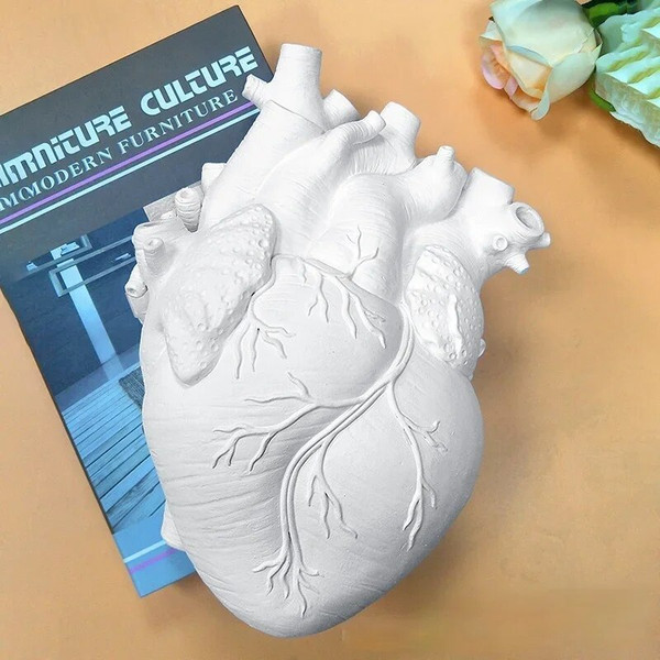 9Z0lHot-Creative-Anatomical-Heart-Vase-Resin-Flower-Pot-Heart-Shape-Vase-Countertop-Desktop-Ornament-Table-Desk.jpg