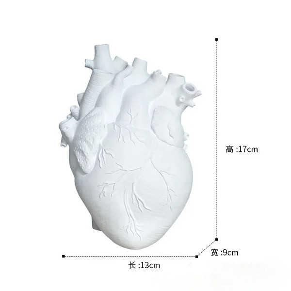 sxpoHot-Creative-Anatomical-Heart-Vase-Resin-Flower-Pot-Heart-Shape-Vase-Countertop-Desktop-Ornament-Table-Desk.jpg