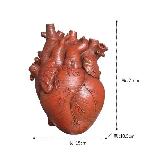 caNGVase-Container-Simulation-Anatomical-Heart-shaped-Dried-Flower-Pot-Art-Vase-Human-Statue-Desktop-Home-Decoration.jpg