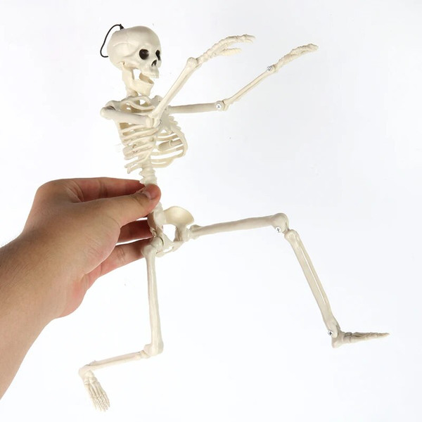 JiqRSkeleton-Halloween-Decorations-40cm-Posable-Funny-Lifelike-Plastic-Skeletons-for-Haunted-House-Graveyard-Scene-Party-Props.jpg
