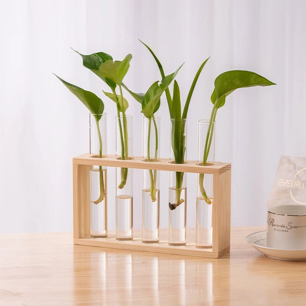 2ipIHydroponic-Plants-Container-with-Wood-Frame-Transparent-Glass-Test-Tube-Vase-Flower-Pot-Home-Tabletop-Bonsai.jpg
