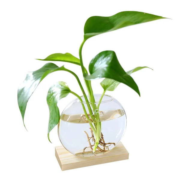 2g8UAvocado-Seed-Starter-Vase-Transparent-Glass-Vase-Vase-for-Growing-Plant-Glass-Seed-Growing-Kit-for.jpg