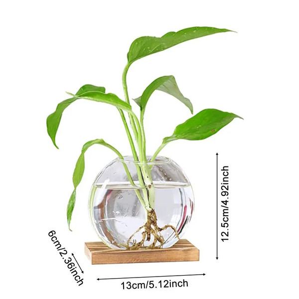 0hL3Avocado-Seed-Starter-Vase-Transparent-Glass-Vase-Vase-for-Growing-Plant-Glass-Seed-Growing-Kit-for.jpg