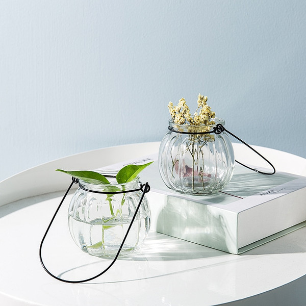 j5ZvHanging-Glass-Vase-Creative-Transparent-Ornaments-Hanging-Bottle-Hydroponic-Plant-Vase-Indoor-Home-Decoration-Bottle-Fresh.jpg