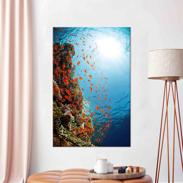 Underwater Shot Art, Fish Wall Decor, Sea Landscape Art, Animal Wall Art, Framed Wall Art, Tempered Glass, 3D Canvas, Gifts, Home Decor Art,.jpg