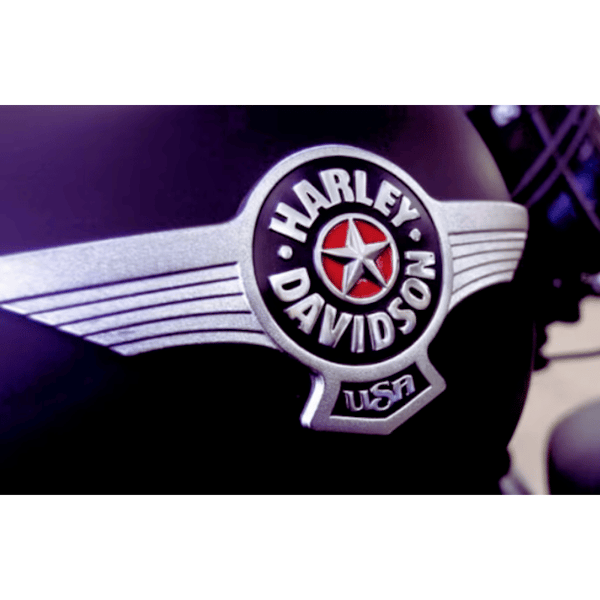Harley-Davidson-Fat-Boy-Tank-Emblem-2.png