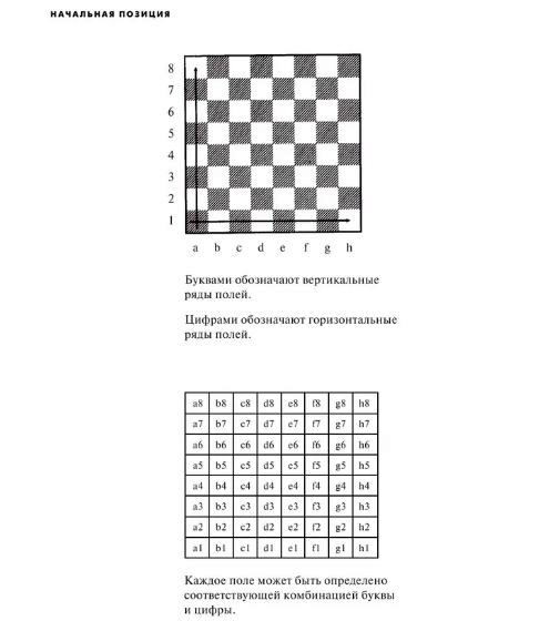 chess-books-ussr.JPG