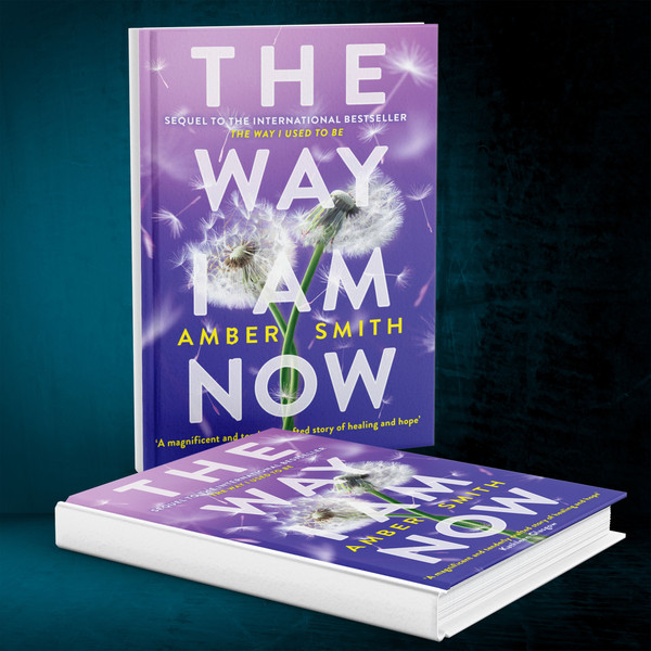 The Way I Am Now (The Way I Used to Be) by Amber Smith.jpg
