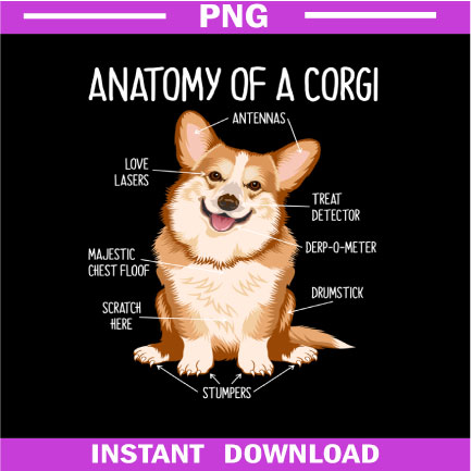 Anatomy-Of-A-Corgi-Gifts-For-Dog-Lovers-Funny-Dog-Owner--PNG-Download.jpg