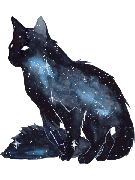 Galaxy Cat  .png