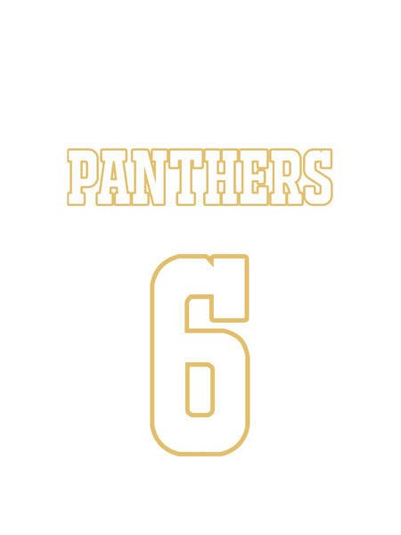 Friday Night Lights_ _Panthers_Graphic .png