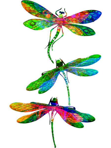 Watercolor Dragonflies.png
