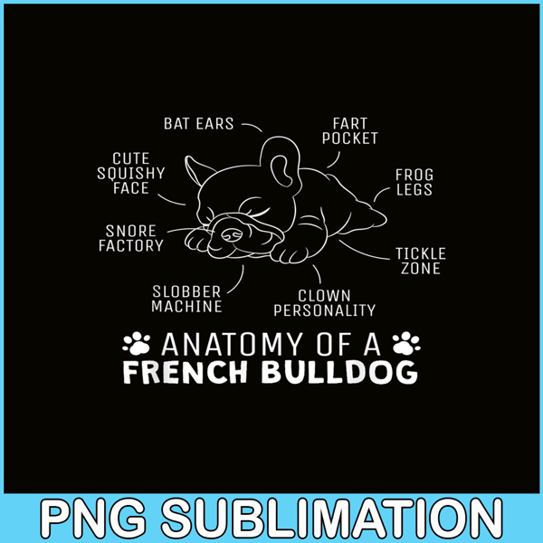 HL161023152-Anatomy Of A French Bulldog PNG, Frenchie Bulldog PNG, French Dog Artwork PNG.png