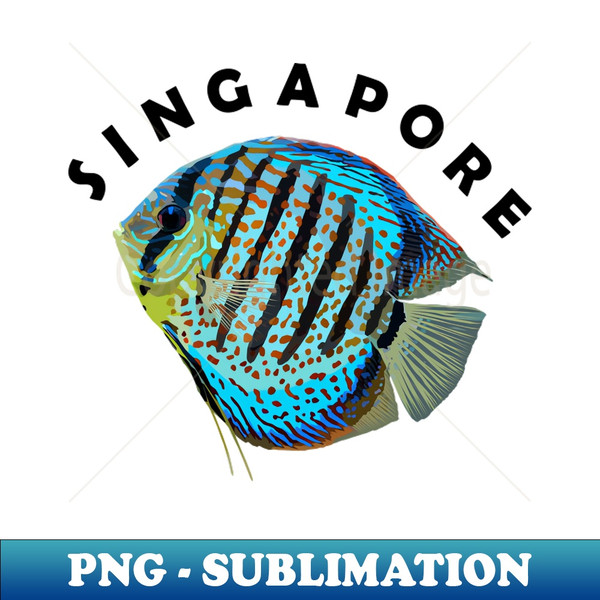 AM-31199_Singapore Blue Discus Fish  Symphysodon Cichlid  Cute Freshwater Aquarium Animal 8100.jpg