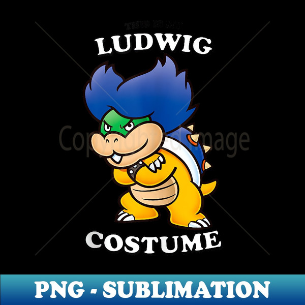 NB-5152_Super Mario This Is My Ludwig Costume  0617.jpg