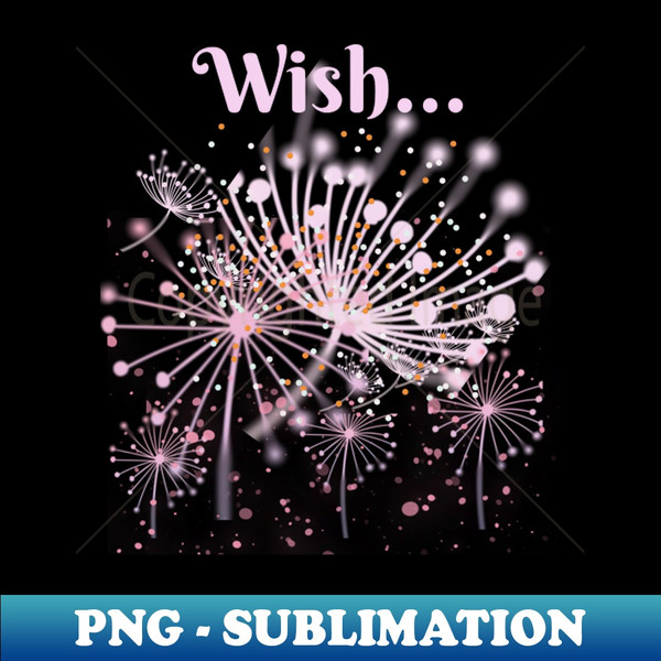 ZN-47832_Make A Wish It May Come True 1836.jpg