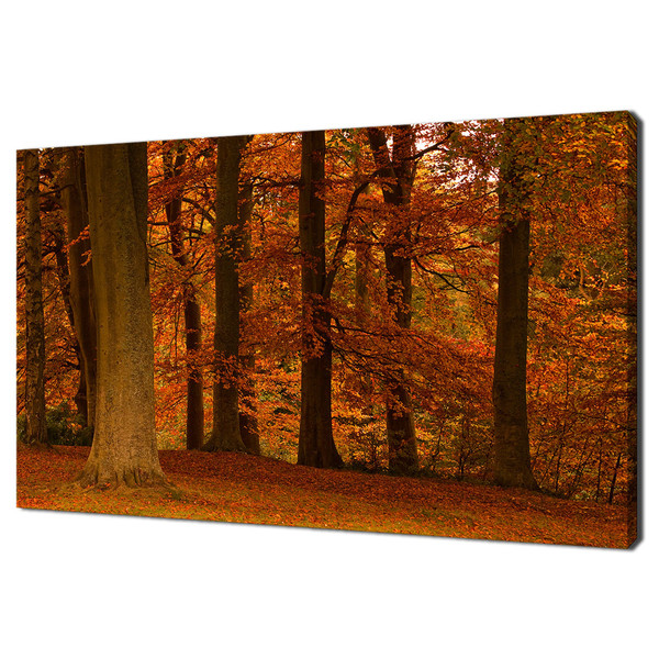 Autumn Fall Forest Trees Modern Landscape Design Home Decor Canvas Print Wall Art Picture Wall Hanging.jpg