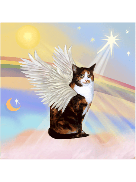 Heavens Clouds - Calico Cat with white Bib (short haired).png