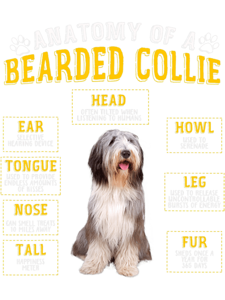 Anatomy Bearded Collie Men.png
