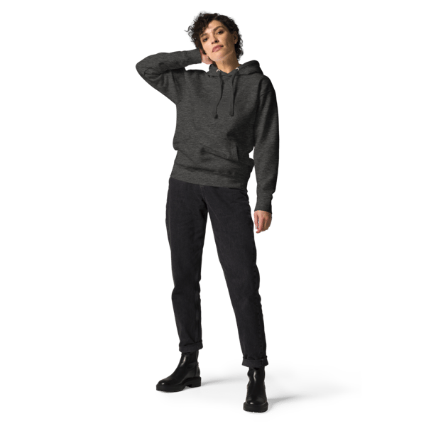 unisex-premium-hoodie-charcoal-heather-front-6570f83810e9e.png