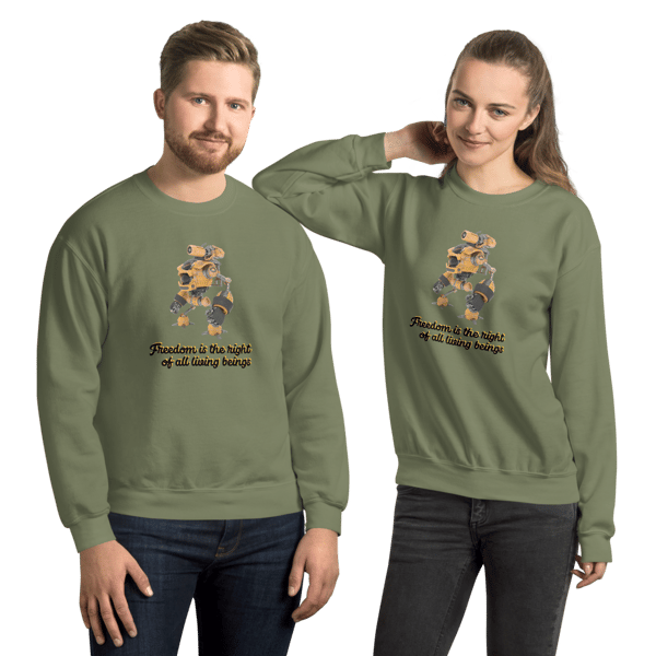 unisex-crew-neck-sweatshirt-military-green-front-65718dd79bf97.png