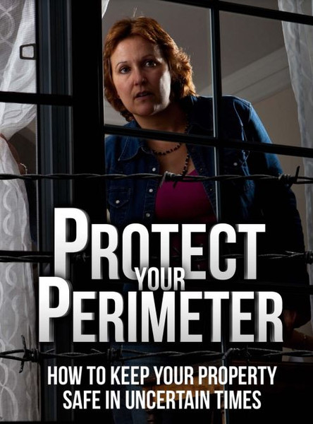 Protect Your Perimeter How to Keep Your Property in Uncertain Times.JPG