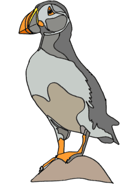 Puffin Bird on a Rock  .png