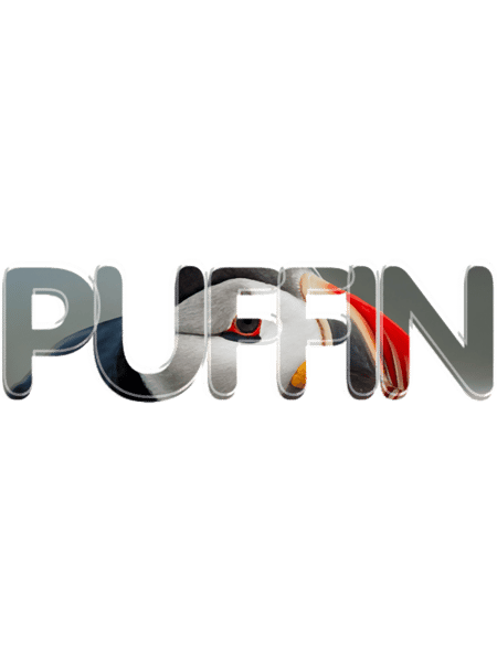 Puffin(3).png