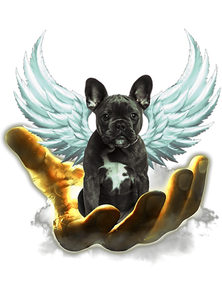 Frenchie Dog BLACK French Bulldog Golden Hand Heaven Wings Angel French Bulldog.png