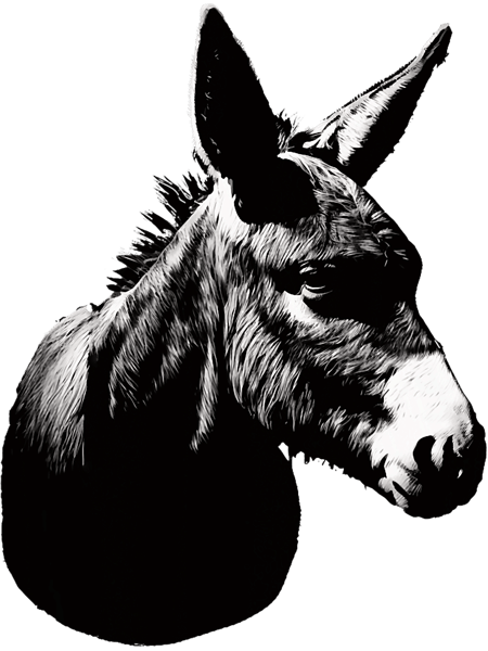 Donkey Portrait Stencil Design Art.png