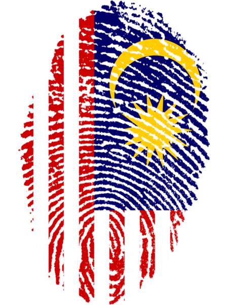 Malaysian.png