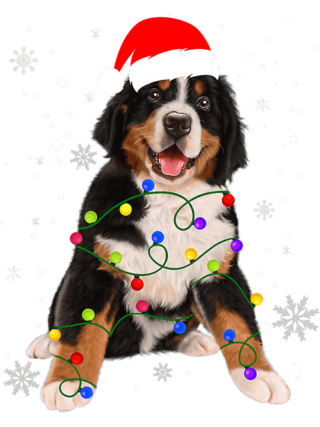 Bernese Mountain Dog Lights Christmas Matching Family 38.png