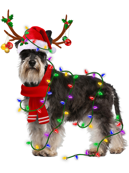 Dog Schnauzer Funny Schnauzer Dog Tree Christmas Lights Xmas Pajama 346.png