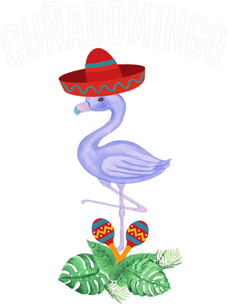 Mens Cunadomingo Spanish Brother In Law Flamingo With Mexican Hat.png